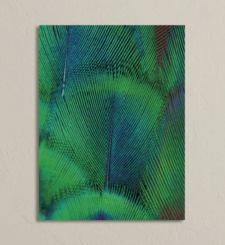 Obraz na stenu s detailným záberom na zeleno-modré pierko